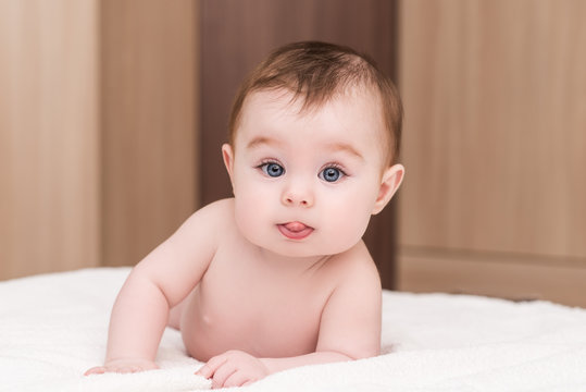 Baby With Blue Eyes Images Browse 127 771 Stock Photos Vectors And Video Adobe Stock