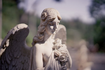 Statue of an angel with wings in the warm light of the sun.