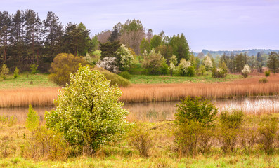 wiosna na Mazurach © Janusz Lipiński