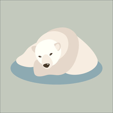 bear polar vector illustration style Flat side front