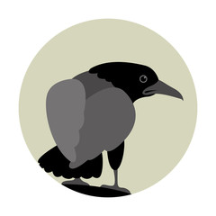 Raven vector illustration style Flat
