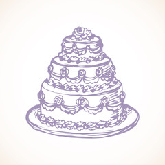Cake. Vector drawing