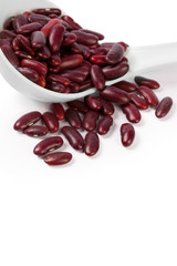 Red bean isolated on white background