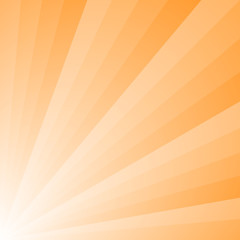 Vector background with light yellow rays. - 142887750