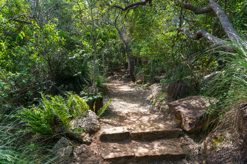 Fototapeta premium Hiking path with stone stairs in tropical rainforest