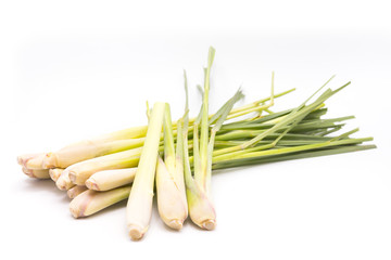 Lemon grass on white background