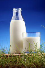 fresh milk in glass jug and glass on fresh green grass