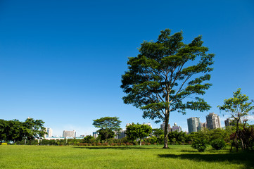 park and modern building in the city.