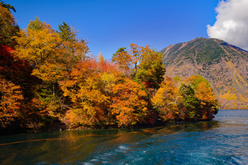紅葉の十和田湖