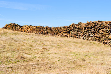 Stack of timber on a grass slope. This timber will most likely be used as biofuel.