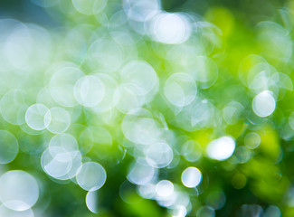 natural green background with bokeh circles.