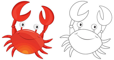 Animal outline for crab © GraphicsRF