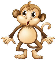 Fototapeta premium Cute monkey standing alone