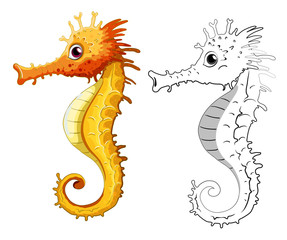 Animal outline for seahorse © GraphicsRF