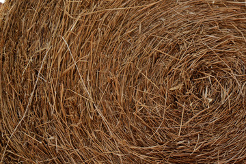 Background Hay Roll