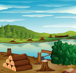 River scene with chopped woods on the banks