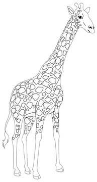 Animal outline for giraffe