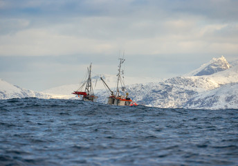 Obraz premium Alone fishing boat floating in the sea in Tromso, Norway