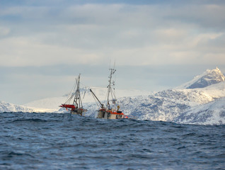 Obraz premium Alone fishing boat floating in the sea in Tromso, Norway