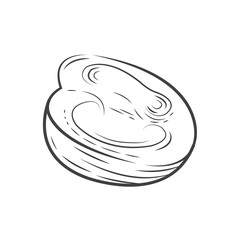 Cut half Tomato vector drawing