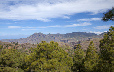 Fototapeta na wymiar Central Gran Canaria, Nature Reserve Inagua