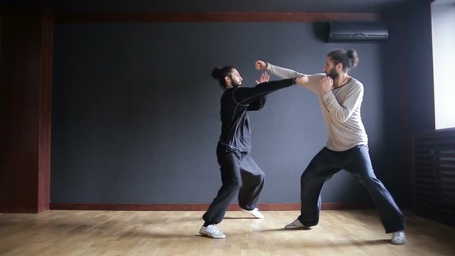 Twin brothers practicing tai chi blows in the training hall