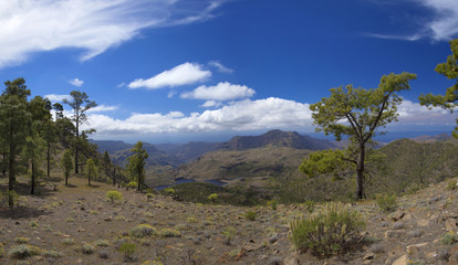 Fototapeta na wymiar Central Gran Canaria, Nature Reserve Inagua