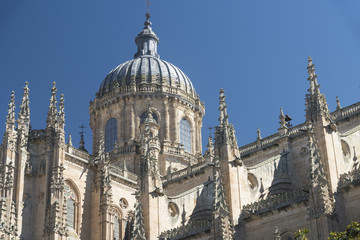 Fototapeta na wymiar Salamanca (Spain): historic cathedral