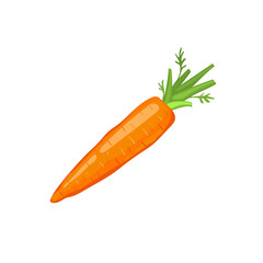 Fresh orange carrot icon isolated on white background.