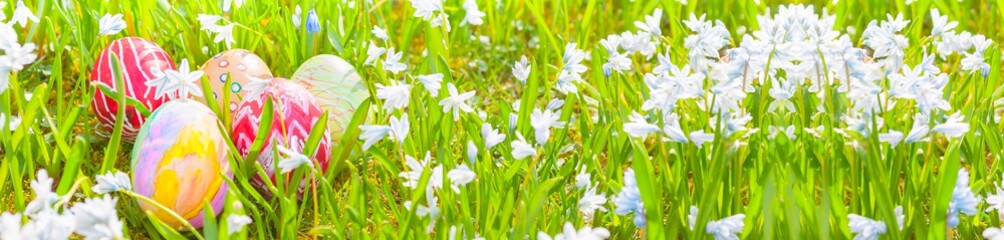 Handbemalte Ostereier zwischen Puschkinien, Osterkarte, Ostern, Osterfest, Panorama / Banner 