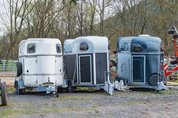Three horse-drawn carts stand side by side at the horse farm and wait to be loaded with horses