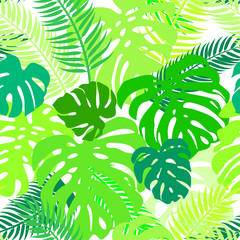 Seamless vector pattern of greenery leaves monstera and palm. Exotic tropical repeat ornament