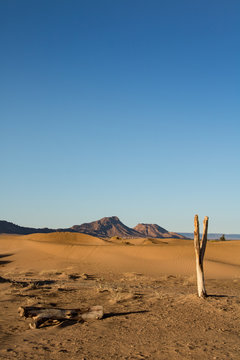 Die Wüste von Marokko