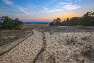Wanderd&uuml;ne D&ouml;mitz 3 / Die Wanderd&uuml;ne in Klein Schm&ouml;len bei D&ouml;mitz an der Elbe (Mecklenburg - Vorpommern), aufgenommen w&auml;hrend des Sonnenuntergangs vom 28. M&auml;rz 2017.