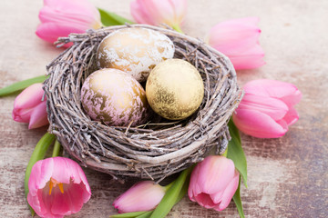 Easter eggs in the nest and tulip. Gray background.