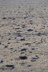 Track foot in clay, moon surface
