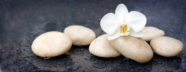 Fototapeta na wymiar Single orchid flower and white stones.