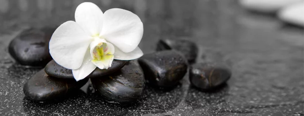 Foto auf Acrylglas Orchidee Einzelne weiße Orchidee und schwarze Steine hautnah.
