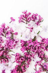 blossoming purple spring lilac flowers on white background. Flat lay. Concept of freshness and beautifulness. DOF on lilac flower. minimalistic hi key picture of blossoming plant.