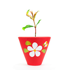 green seedling or tree plant in red pottery flowerpot to conserve nature and the environment with fresh oxygen on white background isolated