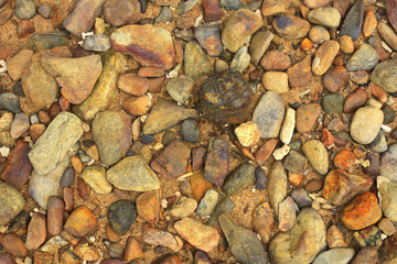 pebble or stone and coral fragments with shell on the sand beach and top view at travel trip for wallpaper or summer holiday background