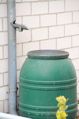 gr&uuml;ne Regentonne im Hochformat