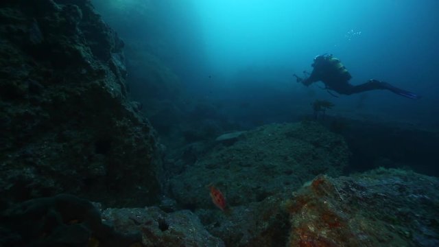 Scuba diver exploring Rikoriko cave, Poor Knights Islands