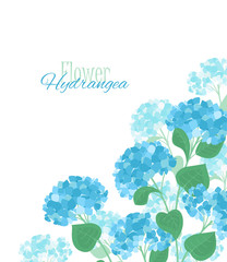 Vector hydrangea flower