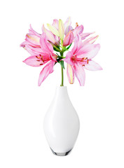 Beautiful pink lily in vase isolated on white background