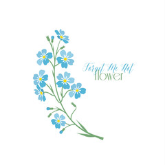 Vector blue forget me not flowers