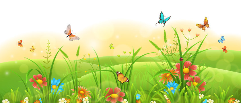 Summer sunny meadow banner with green grass, flowers and butterflies