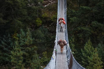 Papier Peint photo Lavable Âne Donkeys carry provision over suspension bridge to high villages in Himalayas, Nepal