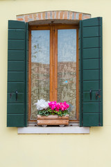 Painted wood window