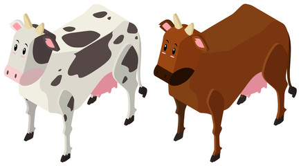 3D design for two cows